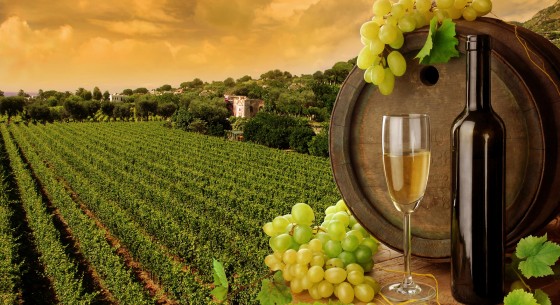 white wine bottle